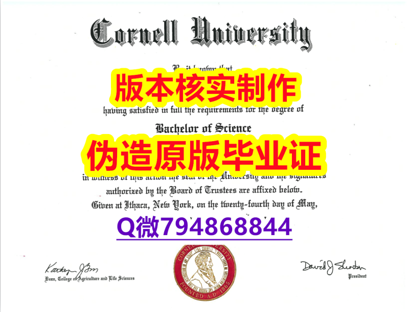 《假学位证》《美国康奈尔大学毕业证留学生补办】【留学新西兰】 《假学位证》《美国康奈尔大学毕业证留学生补办】【留学新西兰】