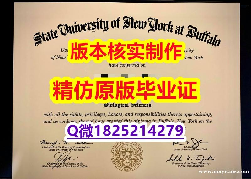 商业管理专业【美国纽约州立大学布法罗分校学历认证留信网本科毕业证质量保证】补办学士毕业证成绩单 商业管理专业【美国纽约州立大学布法罗分校学历认证留信网本科毕业证质量保证】补办学士毕业证成绩单