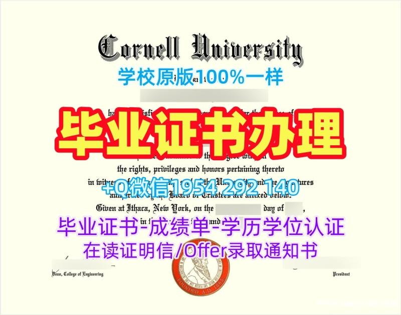 如何办理西班牙UAB毕业证书PDF电子版巴塞罗那自治大学学位证书电子版Universidad Autónoma de Barcelona Office Transcript 如何办理西班牙UAB毕业证书PDF电子版巴塞罗那自治大学学位证书电子版Universidad Autónoma de Barcelona Office Transcript
