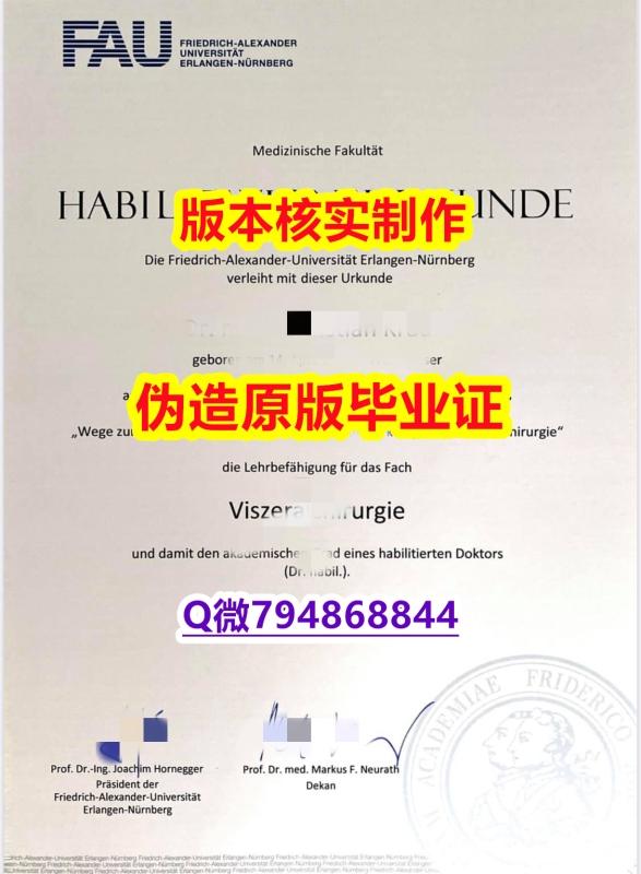 造假研究生《德国埃尔朗根-纽伦堡大学毕业证offer录取通知书】美国毕业证 造假研究生《德国埃尔朗根-纽伦堡大学毕业证offer录取通知书】美国毕业证