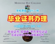 西雅图华盛顿大学本科毕业证washington学历认证报告定制需要注意什么?University of Washington, Seattle Transcript