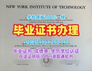 办理延世大学毕业证和学位证Yonsei硕士学历的五个技巧Yonsei University Transcript