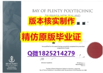 伪造国外文凭【新西兰丰盛湾理工学院学历认证留信网本科毕业证哪里有卖】补办研究生文凭证书