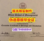 造假本科学位证书《美国斯隆管理学院毕业证制作要多久】伪造研究生文凭证书