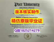 首选【美国佩斯大学学历认证留信网本科毕业证照片】补办学士假学历