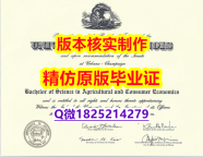 本科学生购买【美国伊利诺斯大学春田分校学历认证留信网本科毕业证硕士offer】办理研究生学位证书