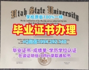 如何仿制科罗拉多大学丹佛分校毕业证书电子版UCDENVER学历认证报告?University of Colorado Denver Office Transcript