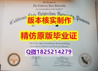 伪造硕士【美国加州州立理工大学波莫纳分校学历认证留信网本科毕业证应付家长】补办硕士假学历
