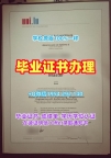 美国USC毕业证认证南卡罗来纳大学本科文凭证书的获取方式University of South Carolina Transcript