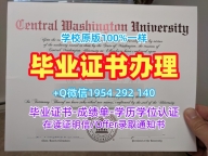 美国UNL毕业证认证内布拉斯加大学林肯分校硕士文凭证书复刻的艺术University of Nebraska–Lincoln Offer