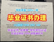 揭秘夏威夷大学马诺阿分校毕业证电子图manoahawaii硕士学位证书的制作过程University of Hawaiʻi at Mānoa Master Degree