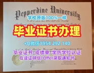 制作美国LUC毕业证书芝加哥洛约拉大学学历证书的成功案例Loyola University Chicago Degree