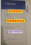 学位公证《德国弗莱堡大学毕业证研究生证书】办理学士成绩单