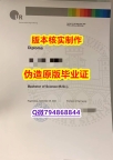 任意版《德国雷根斯堡大学毕业证怎么样办】伪造学位证书