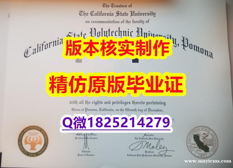 办理文凭证书【美国加州州立理工大学波莫纳分校学历认证留信网本科毕业证应付家长】挂科拿不到毕业证怎么办 办理文凭证书【美国加州州立理工大学波莫纳分校学历认证留信网本科毕业证应付家长】挂科拿不到毕业证怎么办