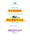 购买本科文凭证书【德国慕尼黑工业大学学历认证留信网本科毕业证多少钱】【留学新西兰】