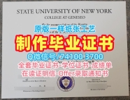 1：1制作纽约州立大学杰纳西奥学院本科毕业证书|Geneseo文凭学历认证1比1定做SUNY Geneseo Office Transcript