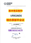 申请美国大学【德国德累斯顿工业大学学历认证留信网本科毕业证伪造】美国毕业证