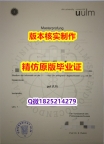 可以做GMAT【德国乌尔姆大学学历认证留信网本科毕业证办理】伪造研究生毕业证