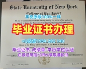 办理巴黎政治学院毕业证认证SciencesPo学历认证报告的十大常见问题Institut de la Sorbonne Master Diploma