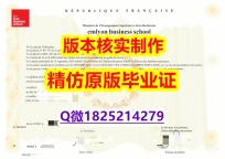 办理大学本科硕士【法国里昂商学院学历认证留信网本科毕业证-留信认证有什么用】补办硕士毕业证成绩单