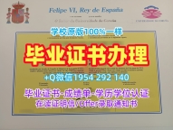 如何快速办理法国enslyon毕业证成绩单里昂高等师范学院文凭英文?École Normale Supérieure de Lyon Degree Certificate