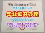 复刻弗吉尼亚理工大学研究生毕业证VT学历认证报告的三大注意事项Virginia Tech (Virginia Polytechnic Institute and State University) Offer