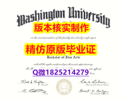 补办本科【美国圣路易斯华盛顿大学学历认证留信网本科毕业证学历认证】补办研究生毕业证成绩单