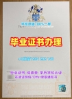 如何准备西东大学毕业证认证SHU学历认证报告申请材料？Seton Hall University Offer