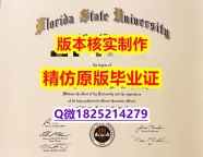 购买【美国佛罗里达州立大学学历认证留信网本科毕业证在哪里可以伪造】伪造硕士毕业证