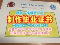 留学生学历学位！原版定做阿尔梅利亚大学毕业完成信西班牙UAL文凭证书英文 Degree