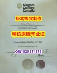 安全可靠【加拿大尼亚加拉学院学历认证留信网本科毕业证假】办理研究生学位证书