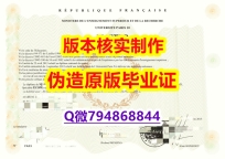 材料科学专业《法国巴黎第十大大学毕业证无风险】补办硕士成绩单