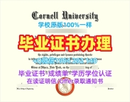 美国Northwestern毕业证书西北大学毕业文凭证书的办理流程是什么？Northwestern University Bachloer Degree