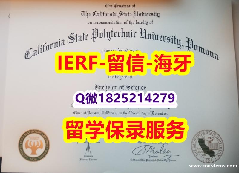 补办研究生毕业证【美国加州州立理工大学波莫纳分校入学offer录取通知书双学位】伪造学位证书 补办研究生毕业证【美国加州州立理工大学波莫纳分校入学offer录取通知书双学位】伪造学位证书