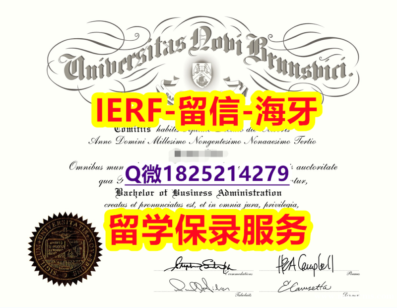 没有学历认证怎么办【加拿大新不伦瑞克大学入学offer录取通知书1:1学校原版学校仿】外国文凭在中国有用吗 没有学历认证怎么办【加拿大新不伦瑞克大学入学offer录取通知书1:1学校原版学校仿】外国文凭在中国有用吗