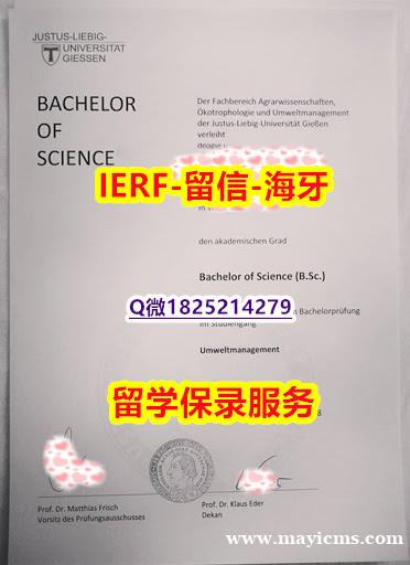 美国毕业证书【德国吉森大学入学offer录取通知书质量保证】伪造硕士学位证书 美国毕业证书【德国吉森大学入学offer录取通知书质量保证】伪造硕士学位证书