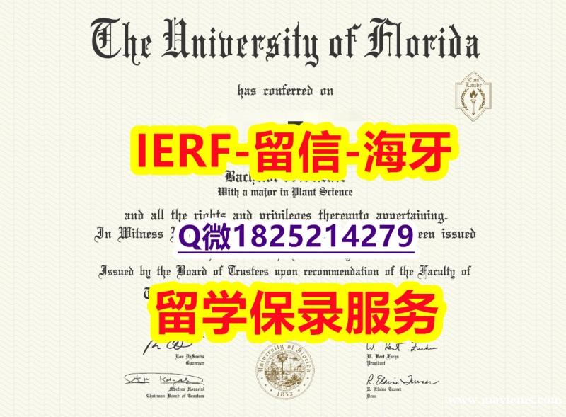 学历认证2020【美国佛罗里达大学入学offer录取通知书在哪里可以造假】办理毕业证成绩单 学历认证2020【美国佛罗里达大学入学offer录取通知书在哪里可以造假】办理毕业证成绩单
