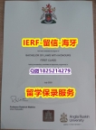 造假本科文凭证书【英国安格利亚鲁斯金大学入学offer录取通知书任意年份版】国外模版