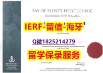 购买研究生毕业证【新西兰丰盛湾理工学院入学offer录取通知书补办】伪造研究生文凭证书