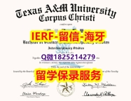商业管理专业【美国德克萨斯A&M大学入学offer录取通知书1:1学校原版学校仿】补办研究生文凭证书