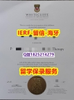 《案例》【新西兰怀特克利夫艺术设计学院入学offer录取通知书证书】在校挂科了，不想读了，成绩不理想怎么办？？？