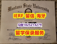 找工作【美国蒙大拿州立大学入学offer录取通知书烫金工艺】国外烫金照片