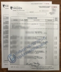 Concordia University transcript，康考迪亚大学成绩单