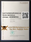 FH Joanneum degree, Make a diploma