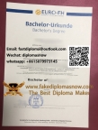 Euro-FH Bachelor Urkunde, Buy fake diploma
