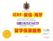 造假学士毕业证【加拿大康尼斯多加学院入学offer录取通知书代办】伪造研究生毕业证成绩单