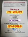 大使馆公证【德国达姆施塔特工业大学入学offer录取通知书本科offer】补办硕士成绩单