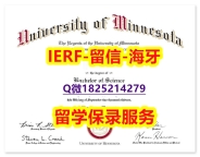 美国毕业证书【美国明尼苏达大学罗切斯特分校入学offer录取通知书认证】造假研究生学位证书