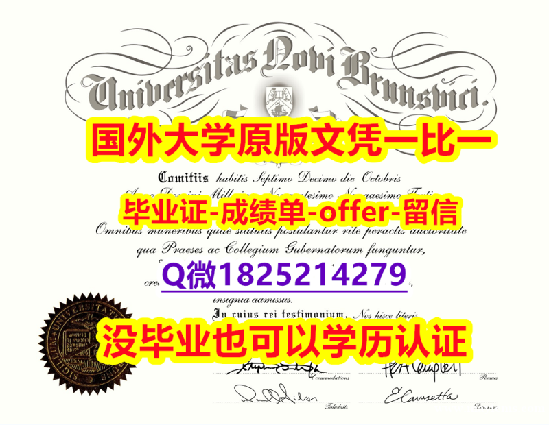 【留学新西兰】【加拿大新不伦瑞克大学学位证书硕士offer】1825214279微Q在哪里可以办理】办国外毕业证可找工作 【留学新西兰】【加拿大新不伦瑞克大学学位证书硕士offer】1825214279微Q在哪里可以办理】办国外毕业证可找工作